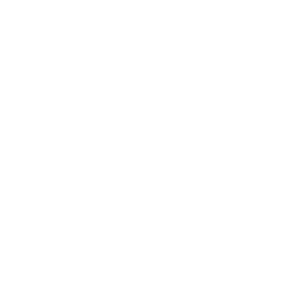 Bird's Bonsai