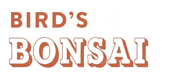 Bird's Bonsai